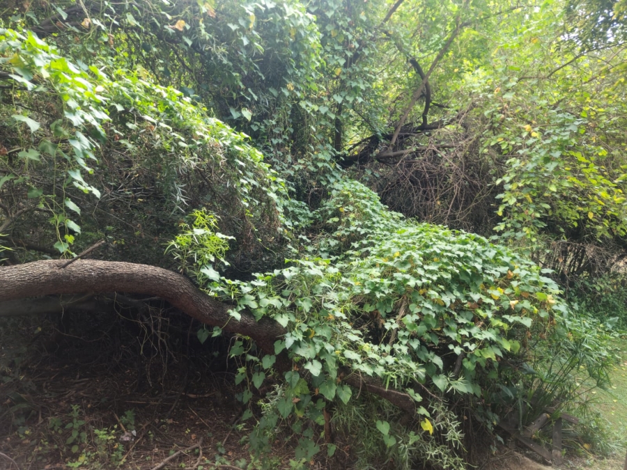 4 Bedroom Property for Sale in Safari Gardens North West